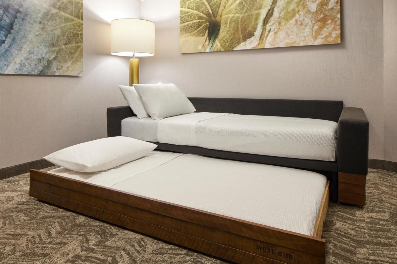 Springhill Suites By Marriott Frederica Extérieur photo