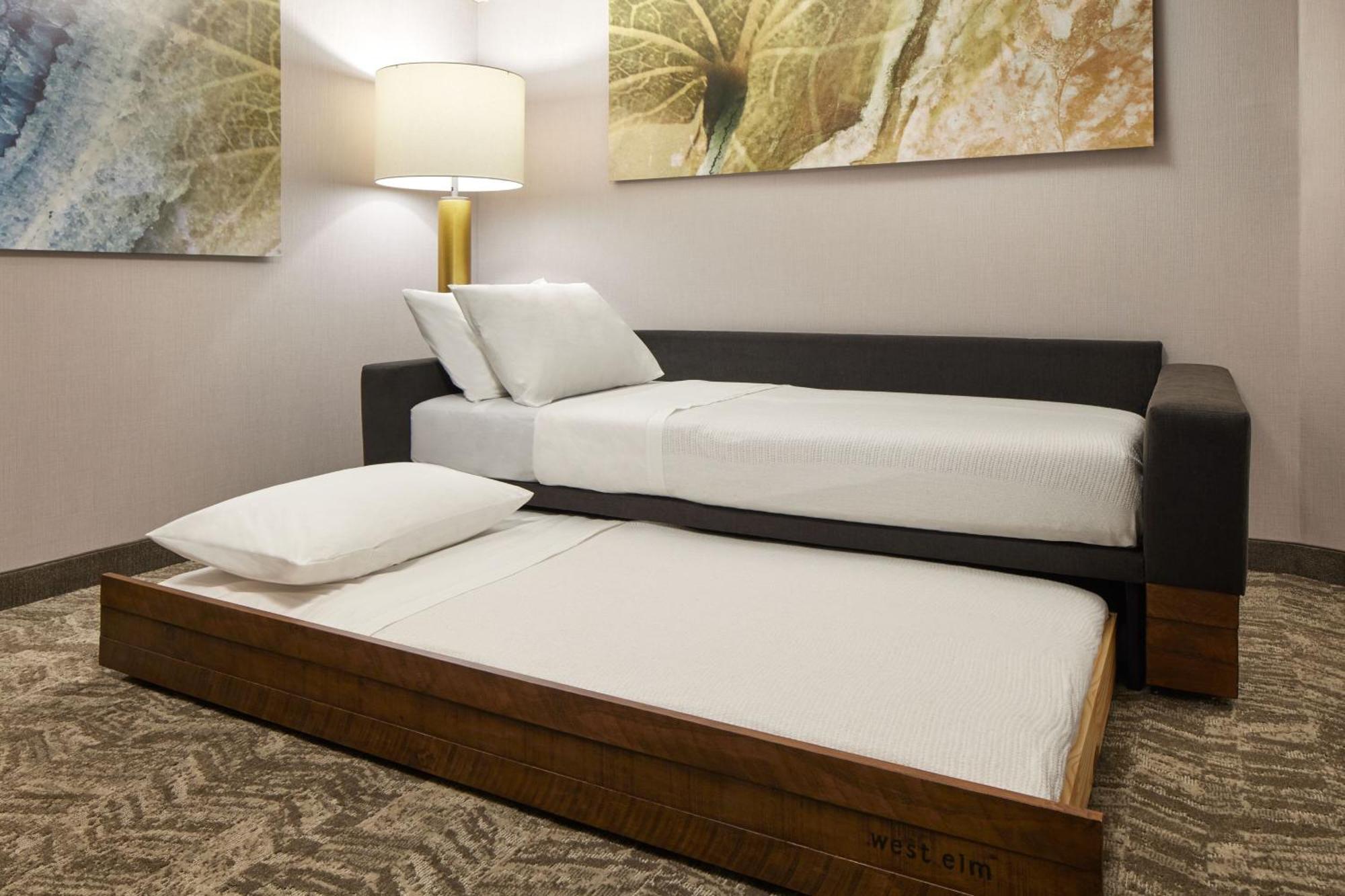 Springhill Suites By Marriott Frederica Extérieur photo